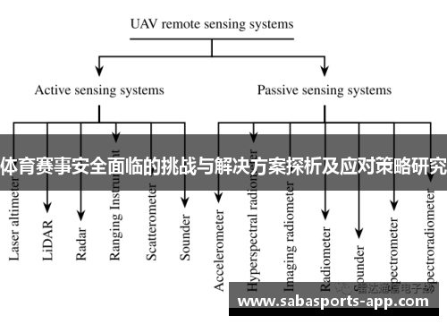 体育赛事安全面临的挑战与解决方案探析及应对策略研究