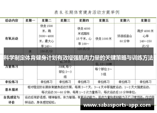 科学制定体育健身计划有效增强肌肉力量的关键策略与训练方法